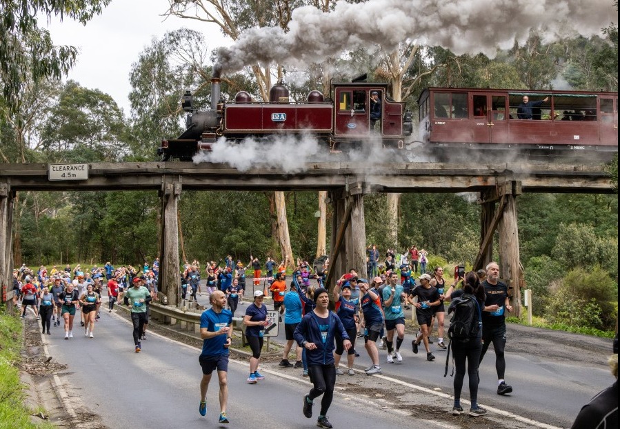 Large group of people run under Puffing Billy train railway.
