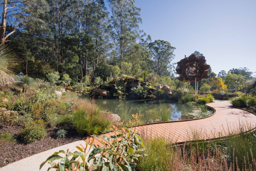 Timber footpath over large pond with garden surrounding.